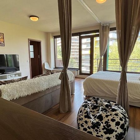 Plopilor Sdtudio Apartment Cluj-Napoca Ngoại thất bức ảnh